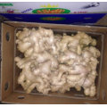 Top Quality of Chinese Fresh Ginger (250 gram and up)