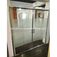 Shower Door with Line Glass