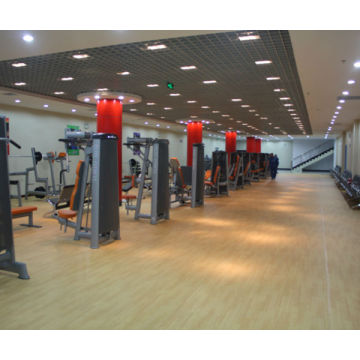 PVC Sports Flooring pour Gym / Gym Flooring / Floor à plusieurs usage