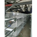 New Design Low Cost Battery Broiler Cage with Certificate of ISO9001