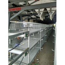 Système de cage de poulet entièrement automatique avec ISO9001