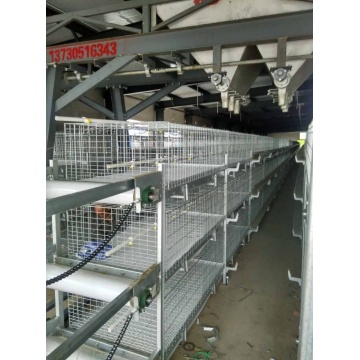 New Design Low Cost Battery Broiler Cage with Certificate of ISO9001