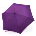 6k Frame Folding Umbrella (BD-08)