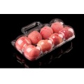 Einweg tragbare 8pack Apfel Obst Box