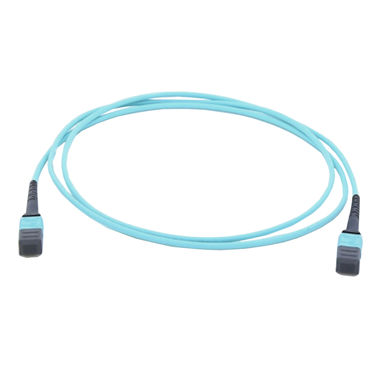 Mpo Optical Patch Cord