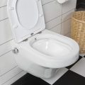Toilet Seat Warmer Bidet Good Material Sanitary Ware Bathroom Combination Sprayer