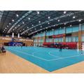 Top sale Handball sports courts--IHF recommend colors