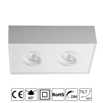 LED Surface Downlight Double Light