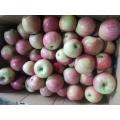 QinGuan Fresh Apples