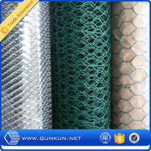 China Professional Hersteller von Sechskant-Mesh-Mesh