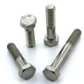 Stainless Steel 304/316 Bolts And Nuts