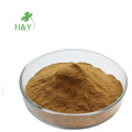 Natural pure herbal angelica sinensis extract powder 10:1