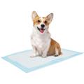 Hot Sale Popular Rectangle Memory Foam Pet Pad