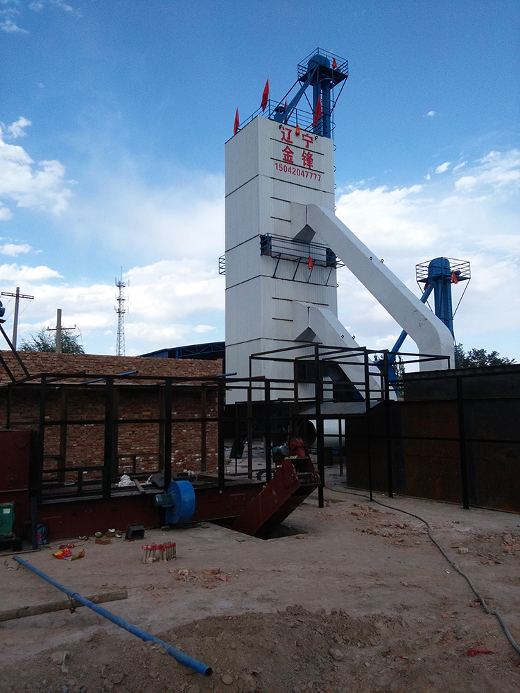 Automatic Rice Dryer