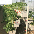 Chaîne hydroponique de culture de fraises Skyplant PVC