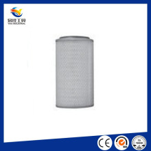 Hot Sale Auto Filtro de ar Af25268 Af25269