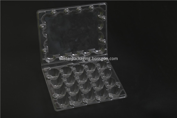 Quail Egg Trays for Sale