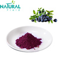 Blueberry Benefits Dehydrated Food Dried Blueberry Powder