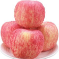 Fuji Apple to Europe/South Asia/Middle East