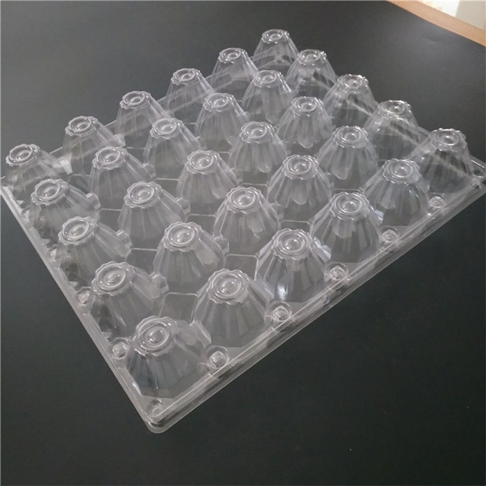 Clear Plastic 30 Eggs Tray