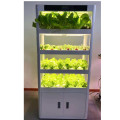 SkyPlant Garden Smart Smart Home Vegetable Machine de cultivo de verduras