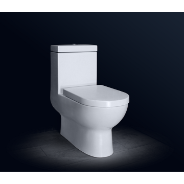 Toilette monobloc en céramique siphonique pour salle de bain