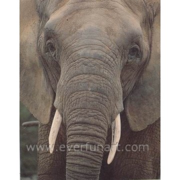 Oil Painting Canvas of Elephant