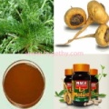 Capillary Wormwood Herb Extract Artemisia Capillaris Thunb