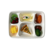11" Catering Eco-Friendly Biodegradable 6-cpt Tray for Party