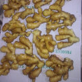 Chinese Fresh Ginger From Farm
