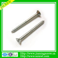 Torx Recess Countersunk Head Self-Tapping Screw