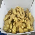 Top Quality Fresh Ginger