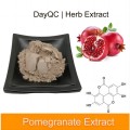 High Quality Plant Extract Pomegranate Extract