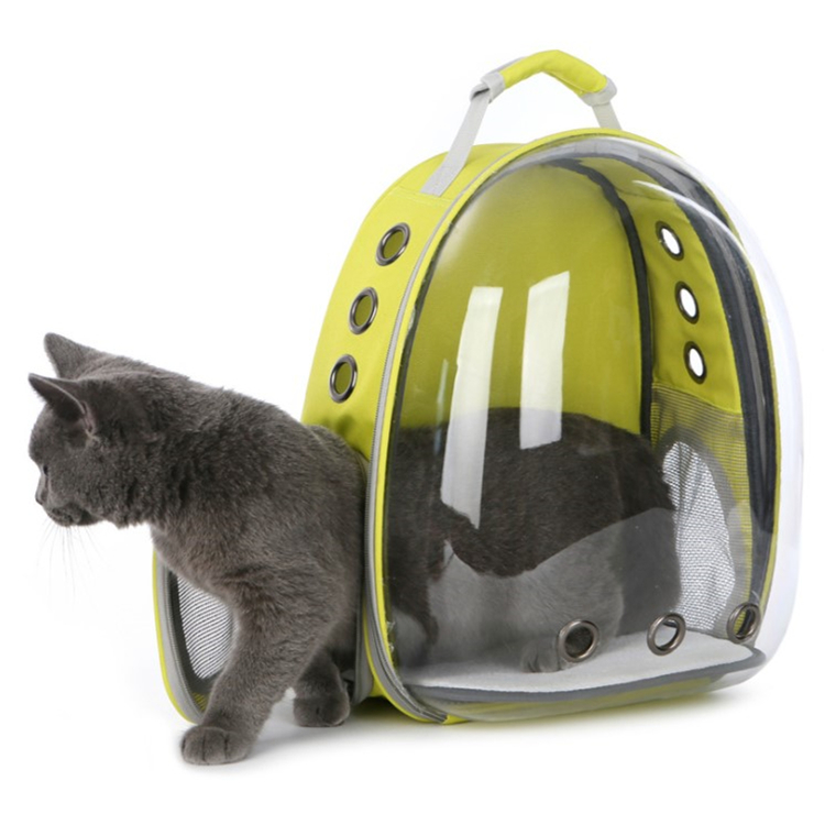 Pet Panorama Transparent Capsule Out Backpack Cat Backpack5