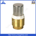 Brass Spring Check Valve with Ss Filter (YD-3003)