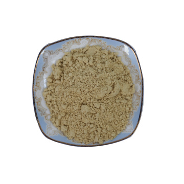 80-100 Mesh Dehydrated Ginger Powder