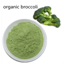 Broccoli biologique poudre active ingrédient acceptable
