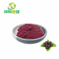 Mulberry Fruit Powder Mulberry Fruit Extract Powder