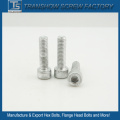 Hot Galvanized Steel Allen Drive Cheese Head Screws