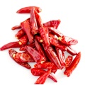 Piment Chaotian 4-7cm 10kg