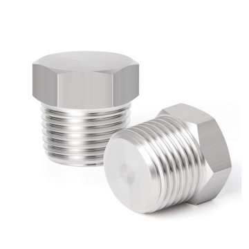 Stainless Steel Hex Thread Socket Pipe Plug Fitting