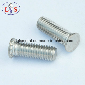 Ss 304 Clinching Screw Pan Head Cross Recess Machine Screw