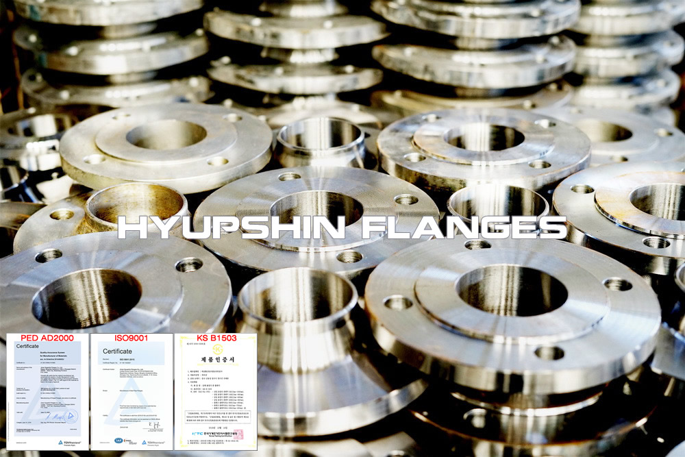 Wn Фланец Поднятый Лицо Wn Flange Raised Face