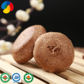 Top quality hard wood sawdust shiitake log