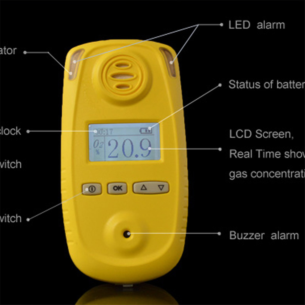 Gas Leak Detection (12)