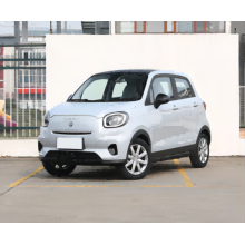 2023 Marca de nova energia chinesa Ev Small Electric Car com alta qualidade