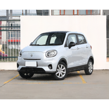 2023 Marca de nova energia chinesa Ev Small Electric Car com alta qualidade