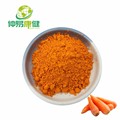 Carrot Extrait de poudre de jus