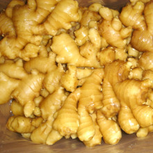2015 New Crop Professional Exporting Yellow Ginger