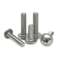 Stainless Steel 304/316 Bolts And Nuts